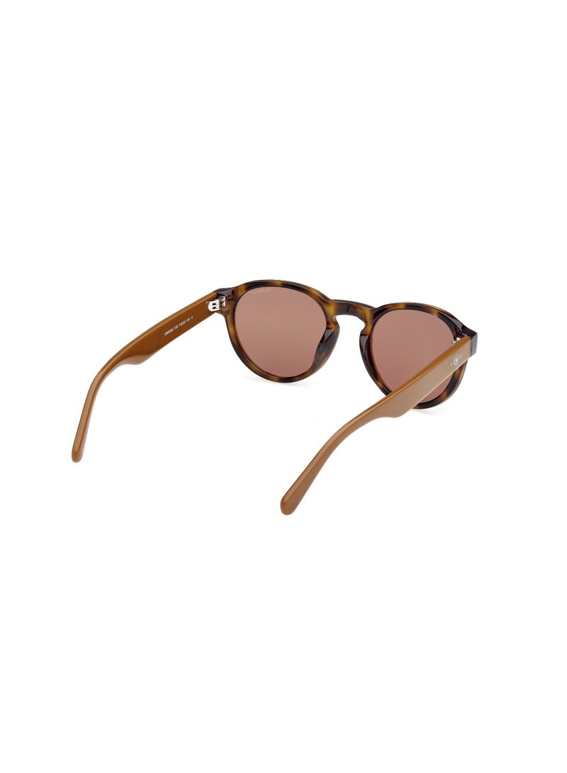 GANT FULL RIM MALE ROUND BROWN ACETATE SUNGLASSES - Image 5